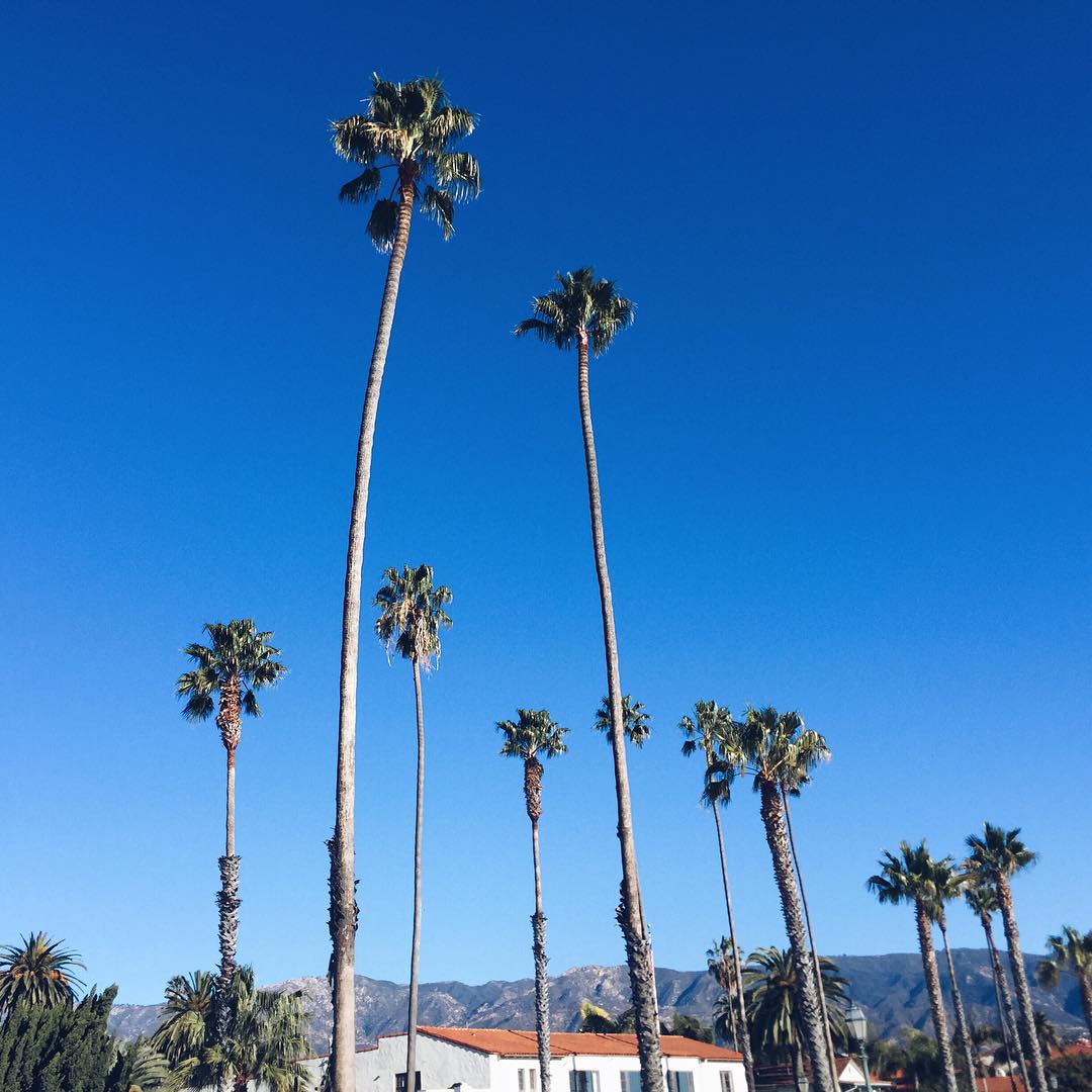 Last pic of the year I promise santabarbara californiadreaming LAvenueTravelhellip